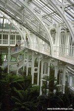 palmhouse5SM.jpg