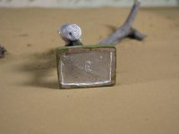 IMG_0059.jpg