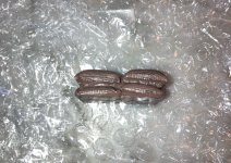 image3 (2).jpeg