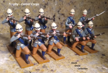 DCC Trophy Camel Corps.png