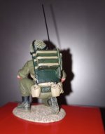 IDF 2b.jpg