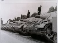 46bis.jpg