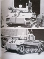 54bis.jpg