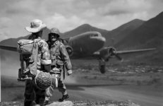 DBP 1 BW.jpg
