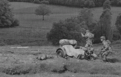 imageedit_3_7325612995.gif