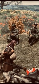IMG_3084.jpeg