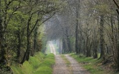 Chemin du Bocage2.jpg