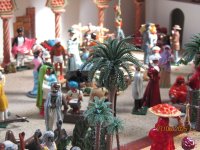IMG_7156.JPG