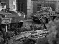 IMG_9750.jpeg