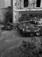 IMG_9756.jpeg
