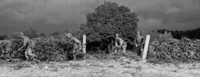 imageedit_3_9145031801.gif