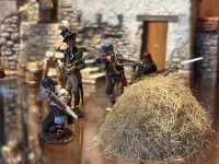IMG_7529-compressed.jpeg