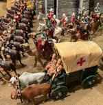 1 1882 Trophy Ambulance Wagon 1.jpg