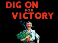6822-ration-7-e1719413011670-wpv_1020x800_center_center.jpgvgf.jpg