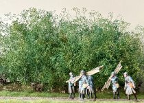 IMG_1367.jpeg