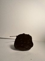 IMG_5132.jpeg