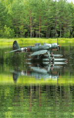 imageedit_4_4916684817.gif