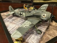 IMG_7037.jpeg
