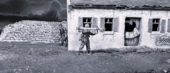 SH1b.jpg