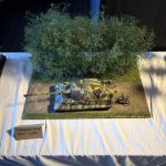 IMG_1736.jpeg