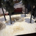 IMG_1749.jpeg