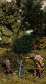 IMGP8107 = sr 05.JPG IMGP8107 = sr 05.JPG