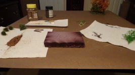 SYW 84th reg vignette 10-2025 (1).JPG