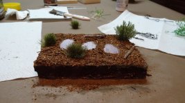 SYW 84th reg vignette 10-2025 (3).JPG