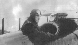 warbirds cover 3.jpg