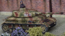 IMGP8185 = scrr 0.JPG