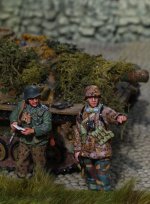 IMGP8321 = rrsc 02.JPG