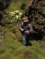 IMGP7323 = rcs 01.JPG