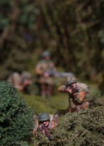 IMGP7380 = csr 0.JPG