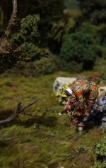 IMGP8113 = crs 01.JPG