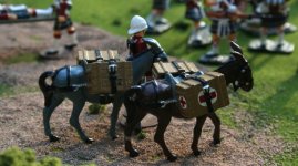 IMG_9673 = scr 01.JPG