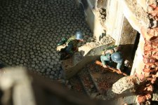 IMG_24691sr.JPG IMG_24691sr.JPG