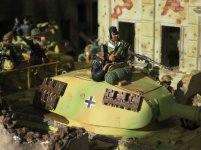 IMG_0817P = cs 0.JPG