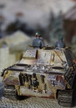 IMGP0383 = rcs 0.jpg