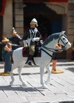 IMG_0261 9 - sr 01.JPG