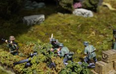 IMGP9454 - rs 0.JPG IMGP9454 - rs 0.JPG