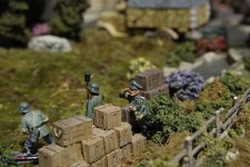 IMGP9460 - s 0.JPG IMGP9460 - s 0.JPG