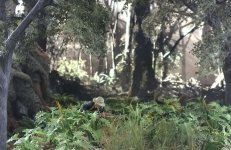 196283-806950588490d6676ab3d18b54570a38.jpg 196283-806950588490d6676ab3d18b54570a38.jpg