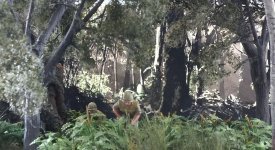 196284-259201b361b503b01f229e90ee453feb.jpg 196284-259201b361b503b01f229e90ee453feb.jpg