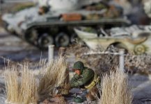 IMGP1859 = csr 0.jpg