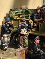 IMG_9695 - cs 01.JPG IMG_9695 - cs 01.JPG