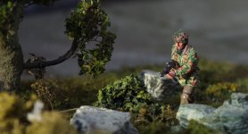 IMGP1878rcxs.JPG IMGP1878rcxs.JPG