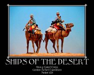 ShipsOfDesertPosterSm.jpg