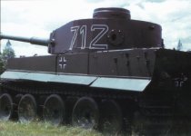 grey tiger.jpg