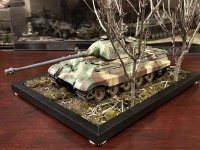 IMG_8239.jpeg IMG_8239.jpeg