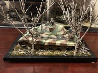 IMG_8240.jpeg IMG_8240.jpeg